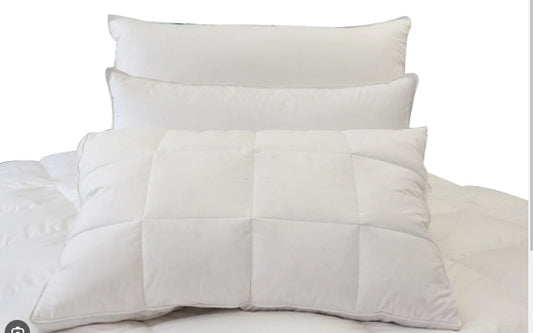 Feather and Down Chamber Pillow with Protector