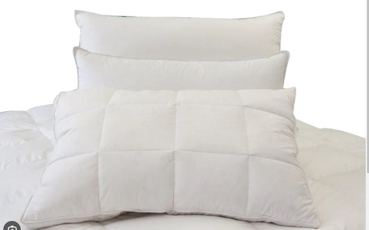 Feather and Down Chamber Pillow with protector